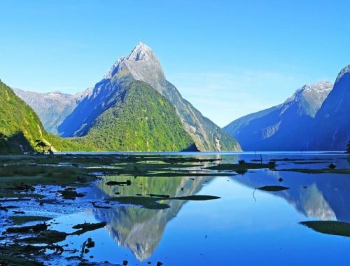 7 Alasan Mengapa Anda Wajib Liburan ke Selandia Baru