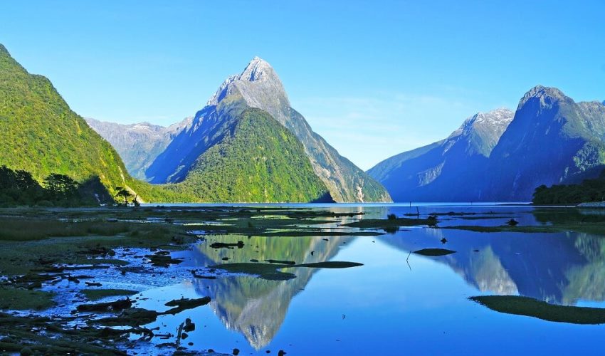 7 Alasan Mengapa Anda Wajib Liburan ke Selandia Baru
