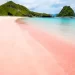 Pantai Pink, Pantai Cantik dengan Panorama Alam Memukau di Lombok